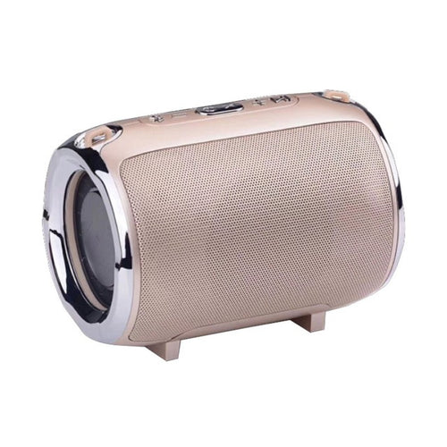 Haut-parleur Bluetooth Portable Anti-Chute avec Subwoofer